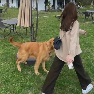 武动乾坤第四季